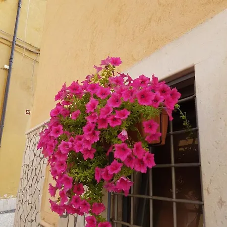 Bed & Breakfast La Casetta Di Priscilla